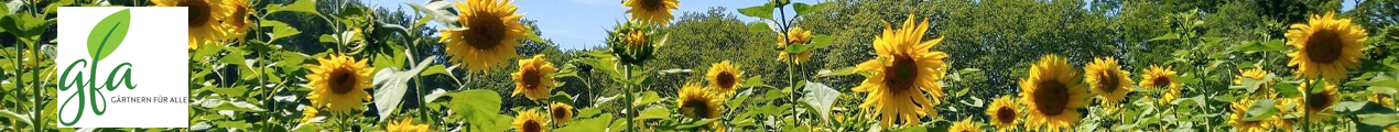 Gärtnern für Alle gGmbH